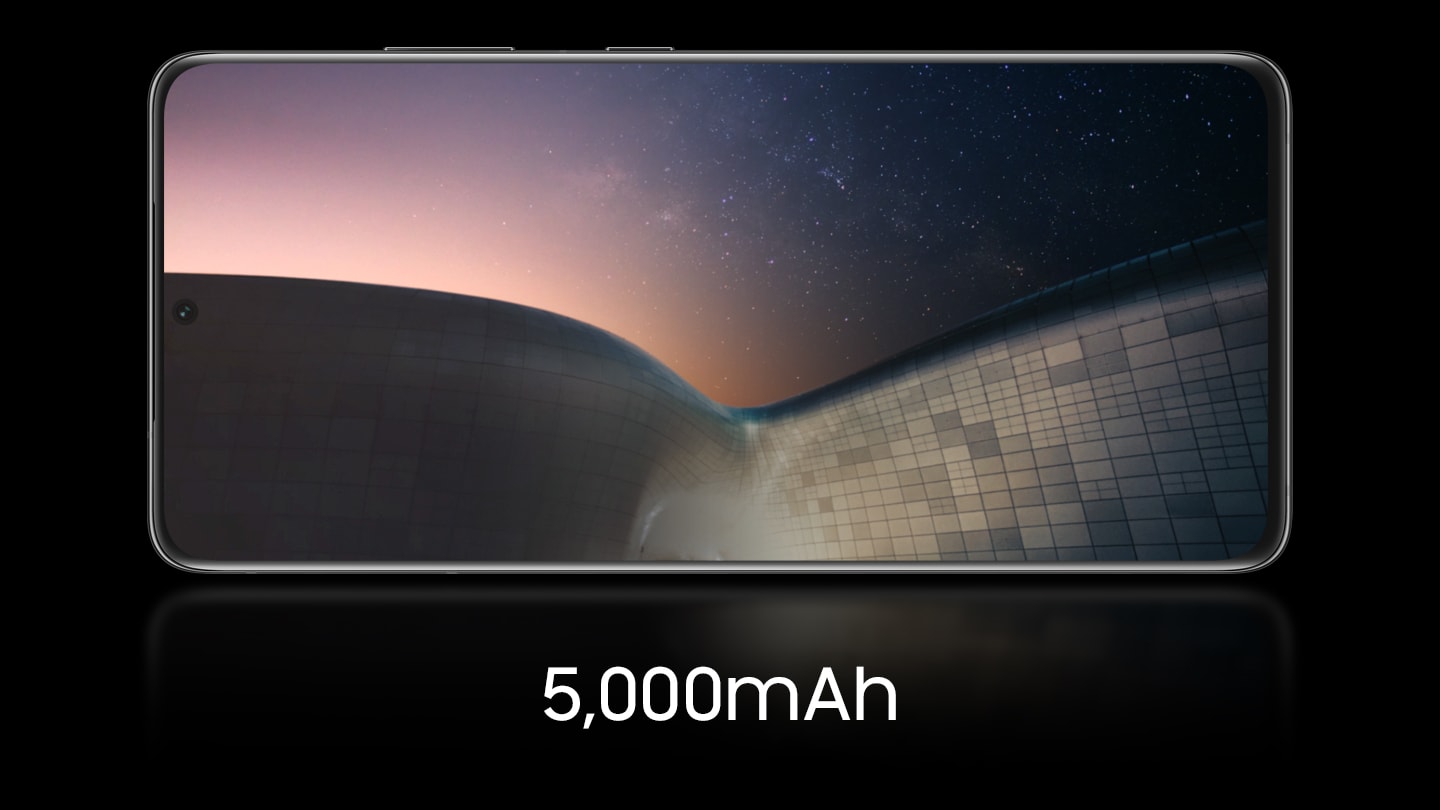 Samsung SM-G998B Galaxy S21 Ultra 14)