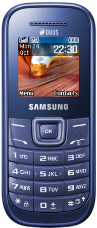 Samsung E1202 Indigo Blue